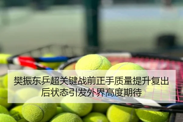 樊振东乒超关键战前正手质量提升复出后状态引发外界高度期待