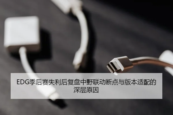 EDG季后赛失利后复盘中野联动断点与版本适配的深层原因